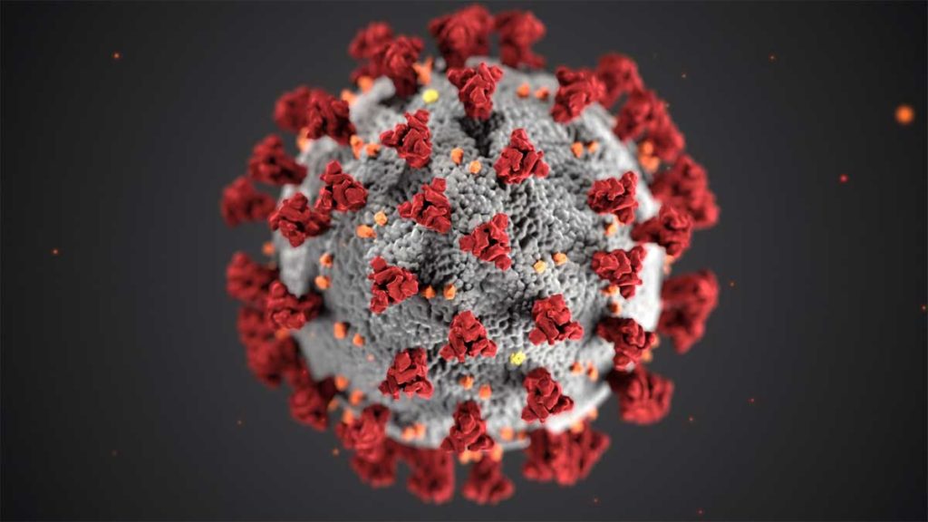 En 2003 las primeras muertes por coronavirus: Últimas Noticias