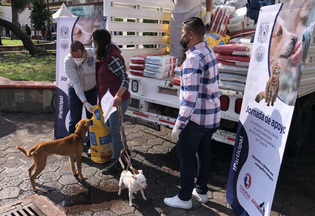Entrega la FMVZ de la UNAM   alimento para perros y gatos