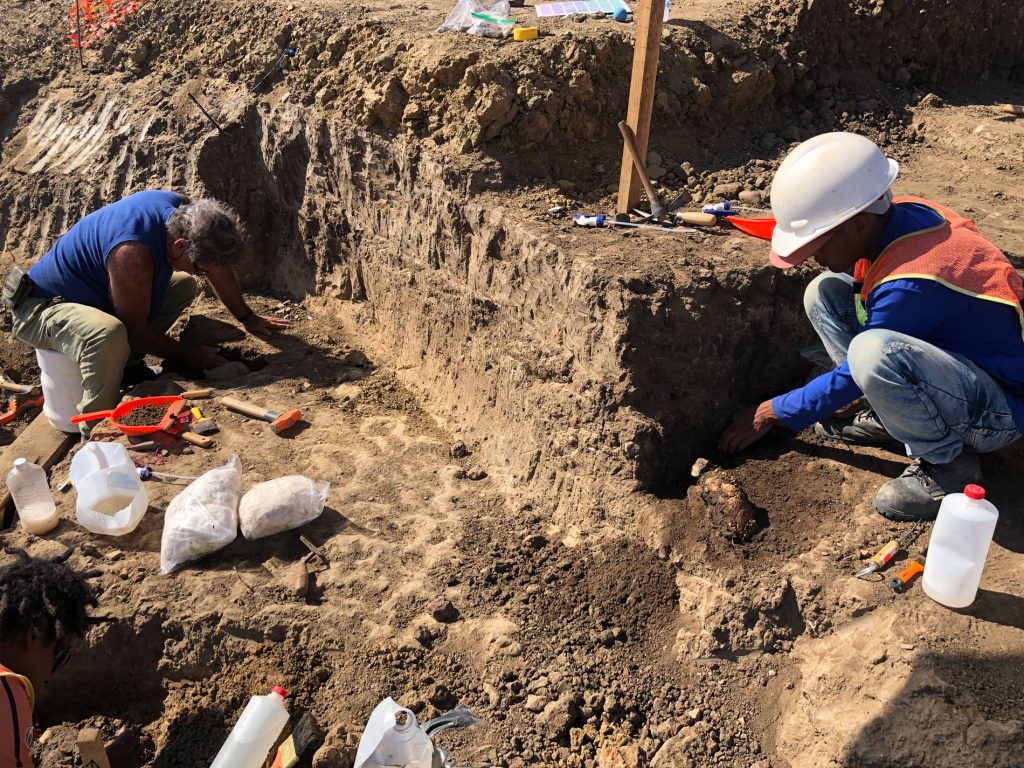 Descubren nuevo sitio arqueológico de la cultura aztatlán en la zona urbana del puerto de Mazatlán, Sinaloa
