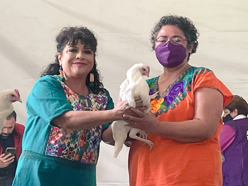 Pone en marcha Clara Brugada el Programa Huevos en Casa, que dotará de 10 gallinas ponedoras a 2 mil 500 hogares