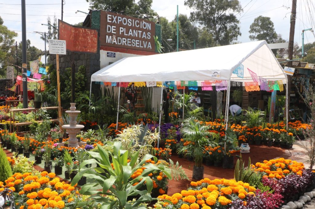 Celebran el Día del Turismo en Xochimilco con Feria Artesanal